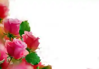 照片效果分类 女性相框 № 112139