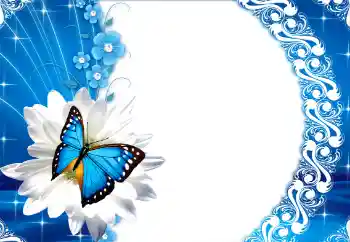 照片效果分类 女性相框 № 112249