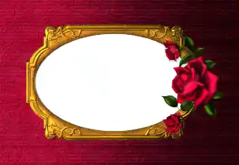 照片效果分类 女性相框 № 112254