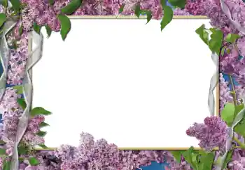 照片效果分类 女性相框 № 112261