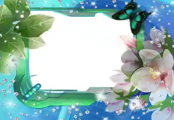照片效果分类 女性相框 № 112274