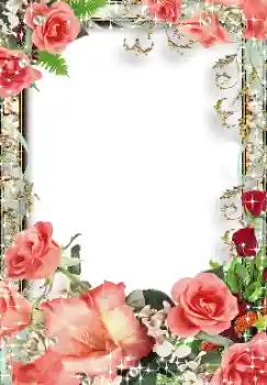 照片效果分类 女性相框 № 112335