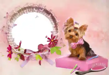 照片效果分类 女性相框 № 112337