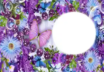 照片效果分类 女性相框 № 112431