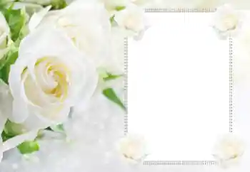 照片效果分类 女性相框 № 112529