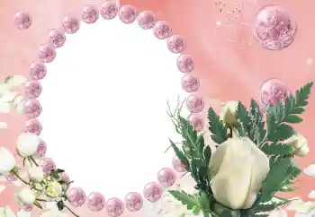 照片效果分类 女性相框 № 112542