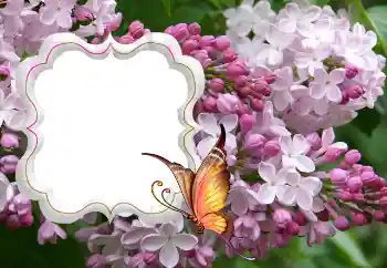 照片效果分类 女性相框 № 114264 照片效果分类 女性相框 № 114264
