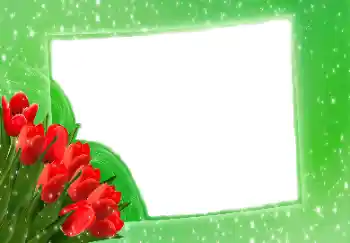 照片效果分类 女性相框 № 114275 照片效果分类 女性相框 № 114275
