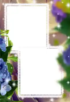照片效果分类 女性相框 № 116123 照片效果分类 女性相框 № 116123