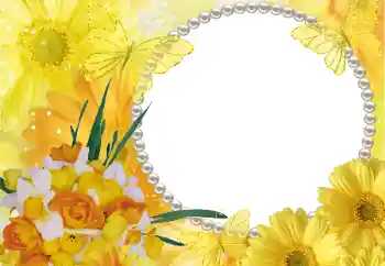 照片效果分类 女性相框 № 11827