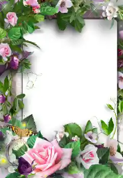 照片效果分类 女性相框 № 120003 照片效果分类 女性相框 № 120003
