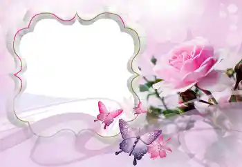 照片效果分类 女性相框 № 121128