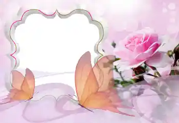 照片效果分类 女性相框 № 121129