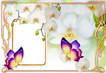 照片效果分类 女性相框 № 123218