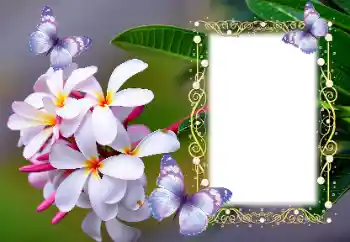 照片效果分类 女性相框 № 123254