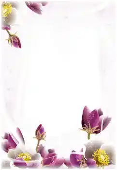 照片效果分类 女性相框 № 124368