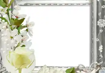 照片效果分类 女性相框 № 124413