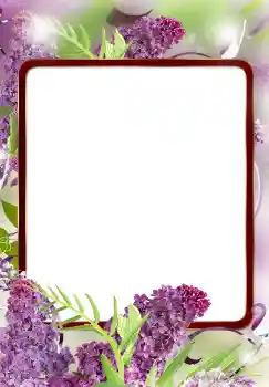 照片效果分类 女性相框 № 124572