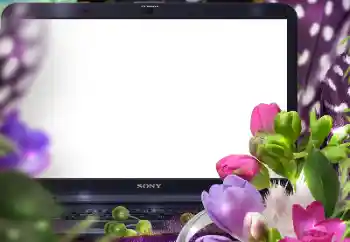 照片效果分类 女性相框 № 125847