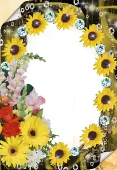 照片效果分类 女性相框 № 125921 照片效果分类 女性相框 № 125921