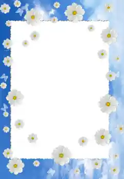照片效果分类 女性相框 № 126941
