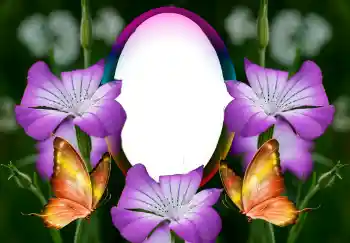 照片效果分类 女性相框 № 126946