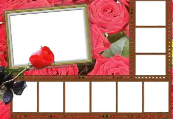照片效果分类 女性相框 № 127060