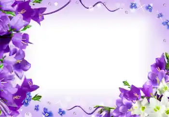照片效果分类 女性相框 № 127280