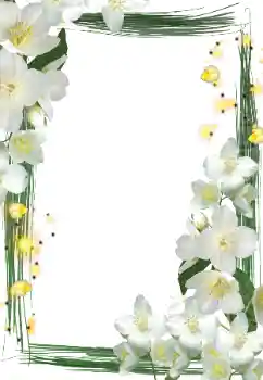 照片效果分类 女性相框 № 127290