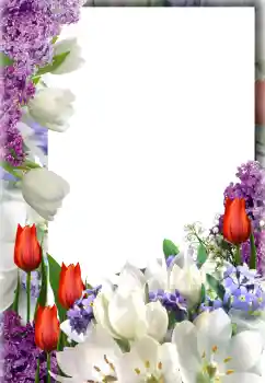 照片效果分类 女性相框 № 127300