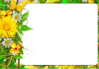 照片效果分类 女性相框 № 127303
