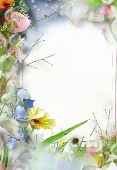 照片效果分类 女性相框 № 127305