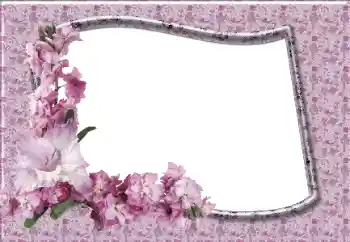 照片效果分类 女性相框 № 12831 照片效果分类 女性相框 № 12831