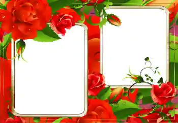 照片效果分类 女性相框 № 128335
