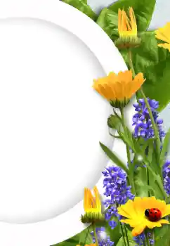 照片效果分类 女性相框 № 128372