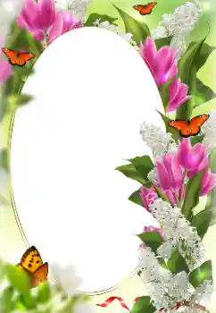 照片效果分类 女性相框 № 128422
