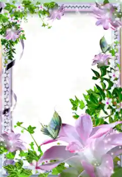 照片效果分类 女性相框 № 12842
