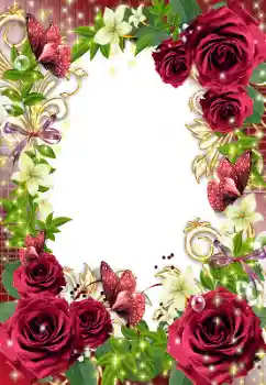照片效果分类 女性相框 № 128527