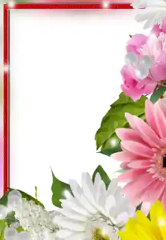 照片效果分类 女性相框 № 128553