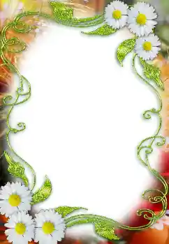照片效果分类 女性相框 № 12859