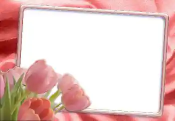 照片效果分类 女性相框 № 12865