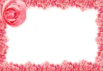 照片效果分类 女性相框 № 12873