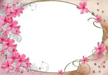 照片效果分类 女性相框 № 12884