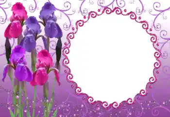 照片效果分类 女性相框 № 12894