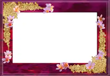 照片效果分类 女性相框 № 12896