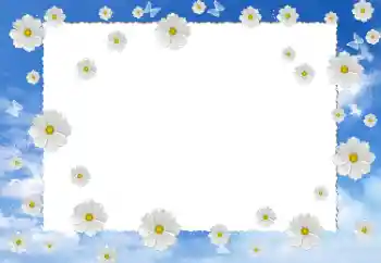 照片效果分类 女性相框 № 12899