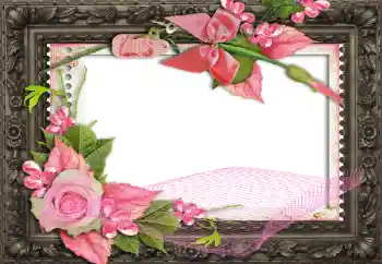 照片效果分类 女性相框 № 130791