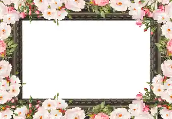 照片效果分类 女性相框 № 130792