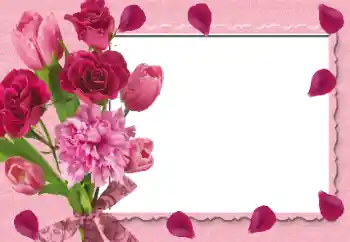 照片效果分类 女性相框 № 131233 照片效果分类 女性相框 № 131233