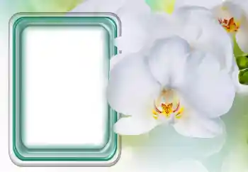 照片效果分类 女性相框 № 131485